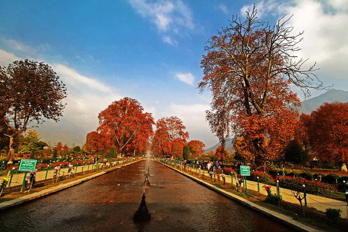 /2022/10/best-places-to-visit-in-autumn-in-India.webp